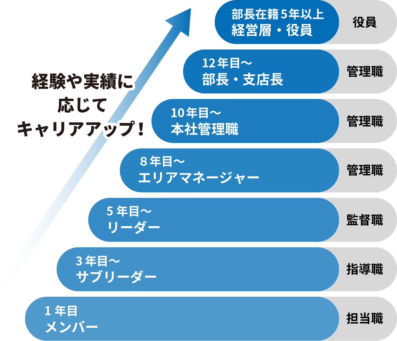 経験や実績に応じてキャリアアップ！